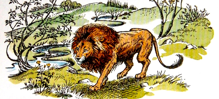 Looking to Aslan - Kuyperian Commentary